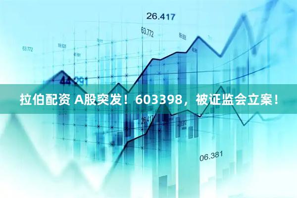 拉伯配资 A股突发！603398，被证监会立案！